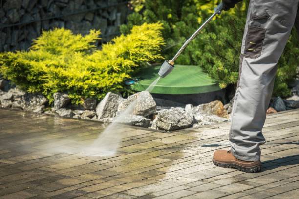 Best Roof Washing  in Windy Hills, KY